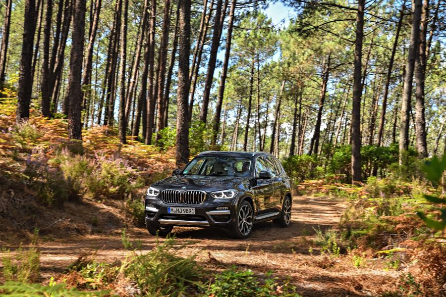  BMW X3 xDrive30d xLine (G01) 2017 года  (WW) (фото 102 из 178)